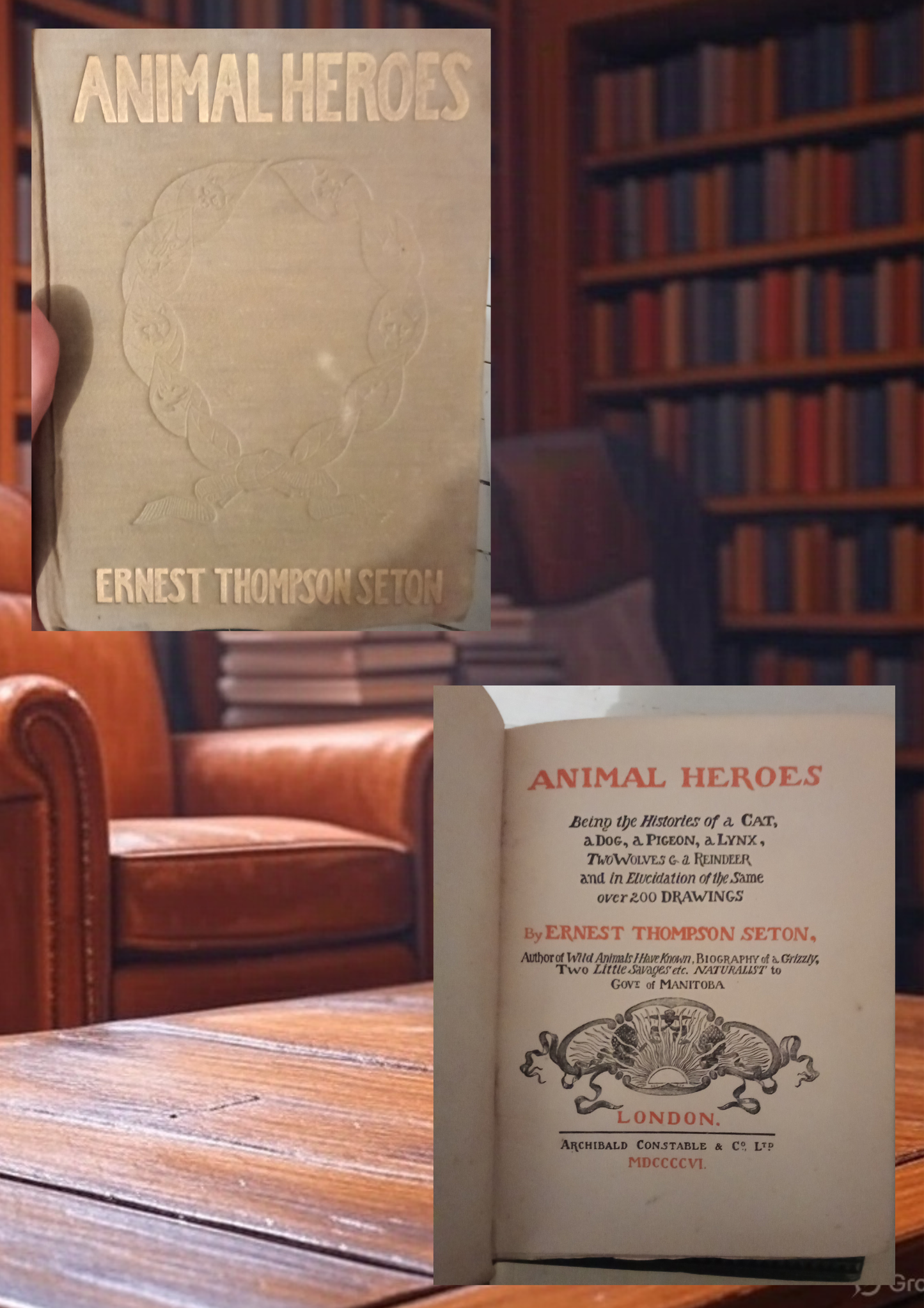 ANIMAL HEROES